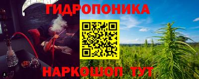 эйфоретик Аргун