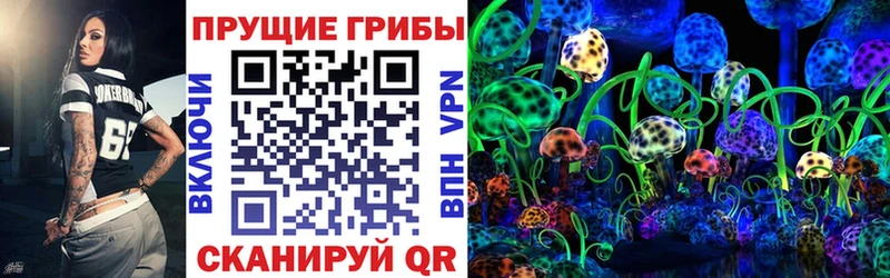 Галлюциногенные грибы мухоморы  дарнет шоп  Кандалакша 