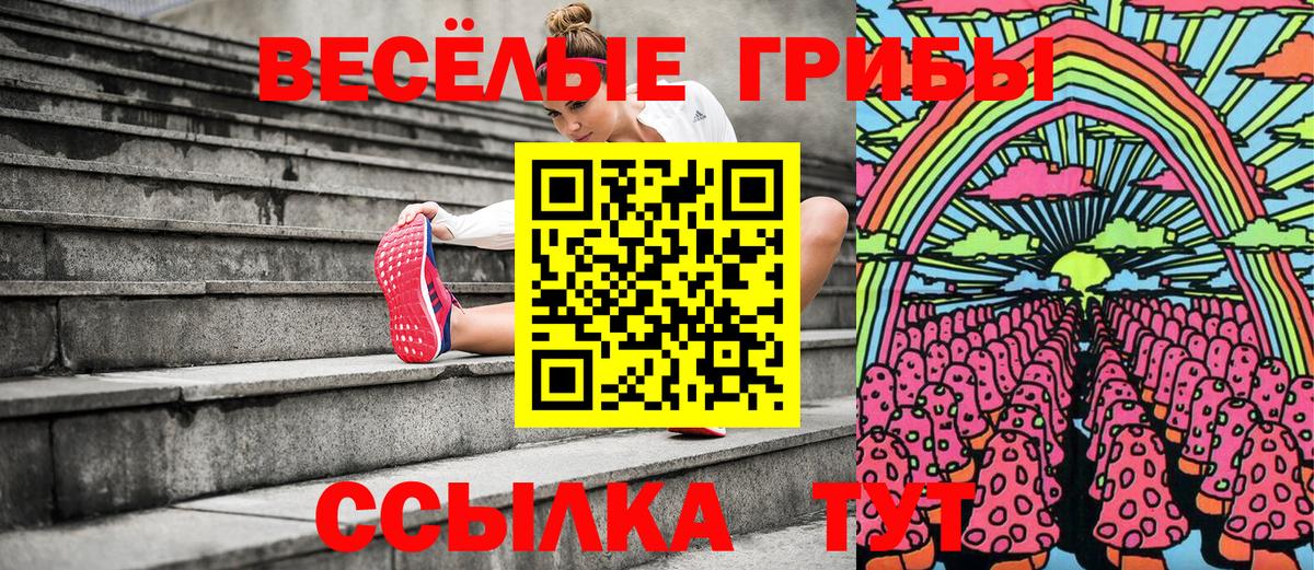 Галлюциногенные грибы Cubensis  Кандалакша  Псилоцибиновые грибы Cubensis 