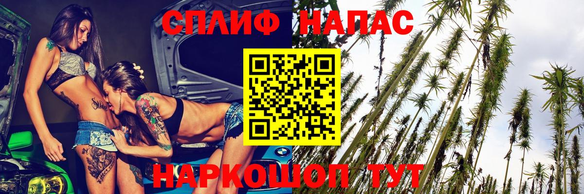 Бошки Шишки MAZAR Кандалакша